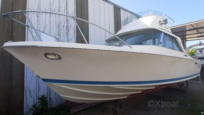 Riva BERTRAM 25 SPORT FISHERMAN