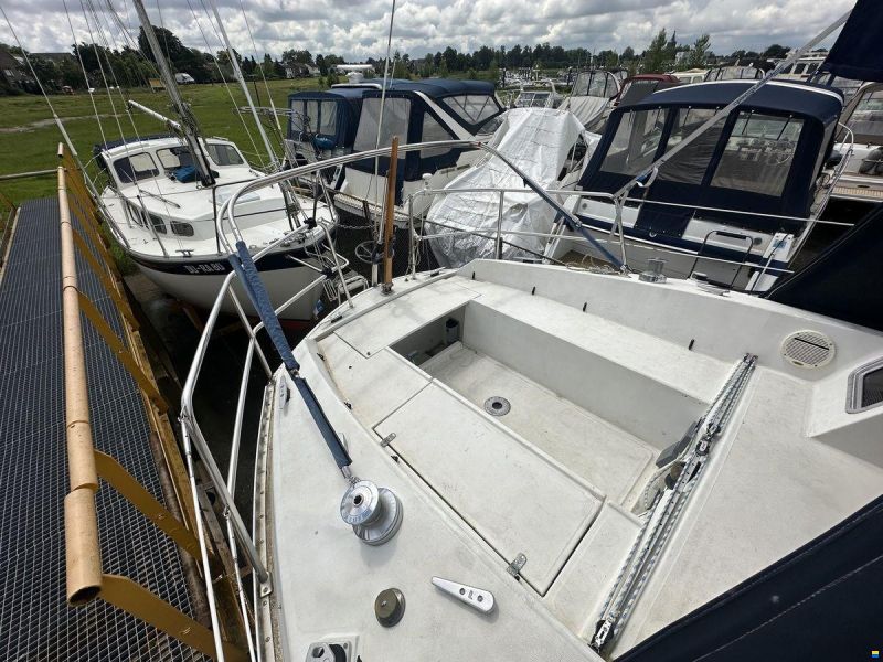 Jouet 920