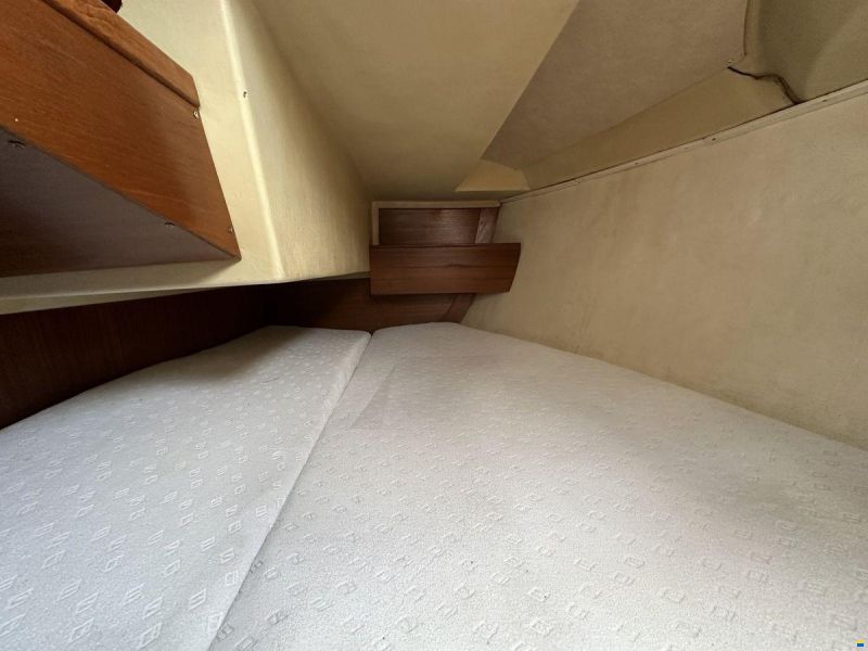 Jouet 920