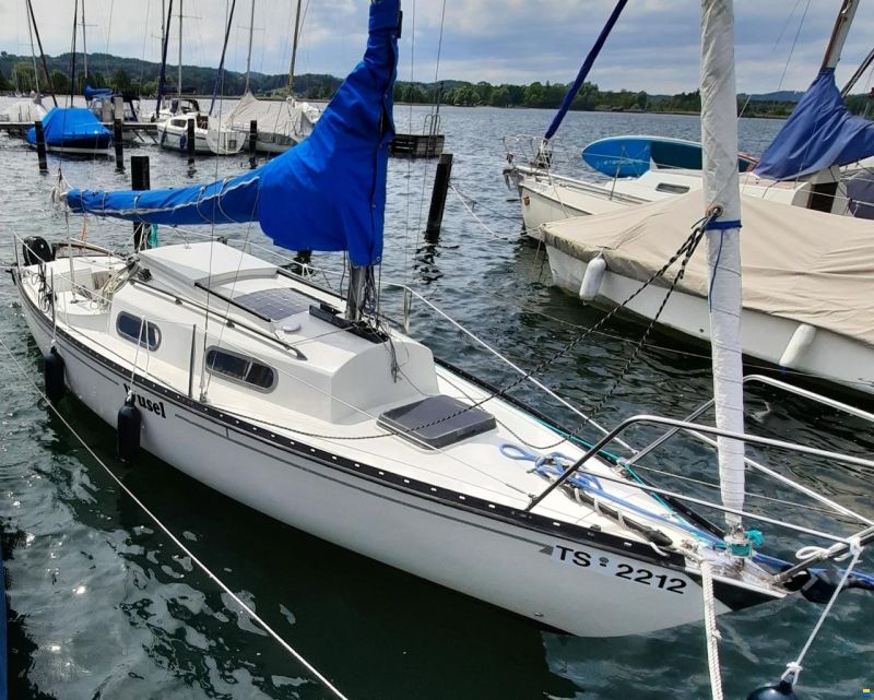 Korneuburg Shark 24 image