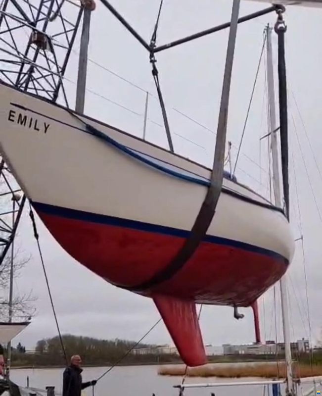 Carter 30