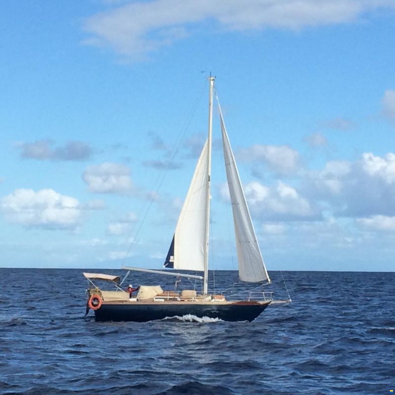 Huisman AVENIR (VAN DE STADT)