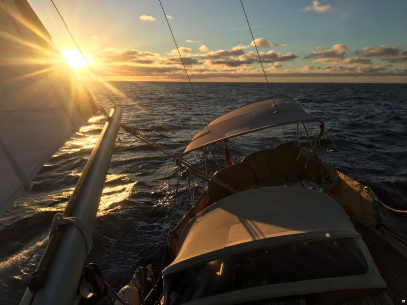 Huisman AVENIR (VAN DE STADT)