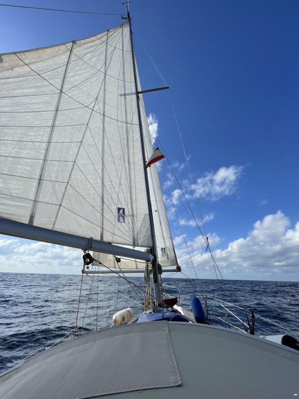 Huisman AVENIR (VAN DE STADT)