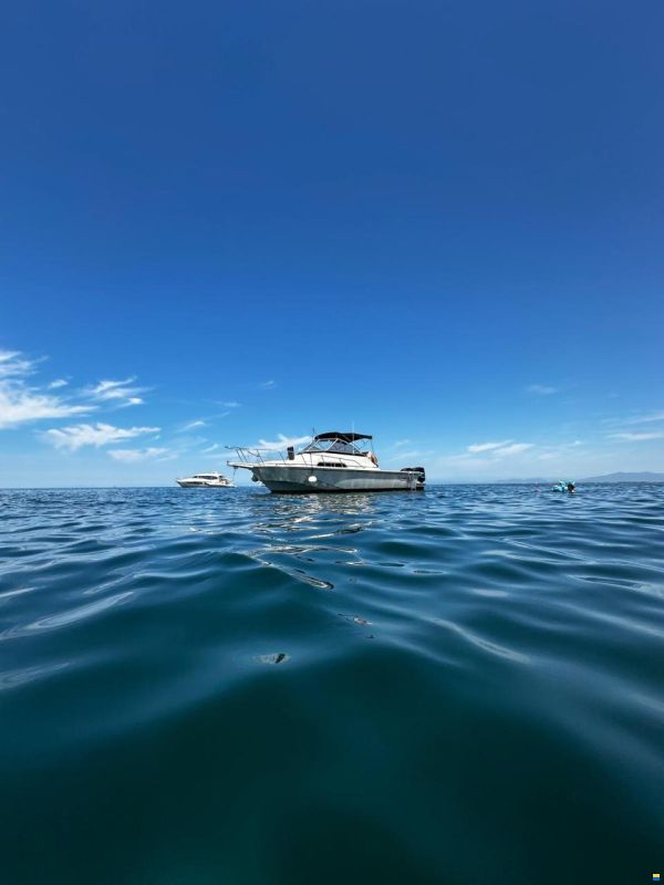 Boston Whaler 27 Full Cabin