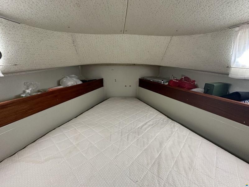 finnsailer 29