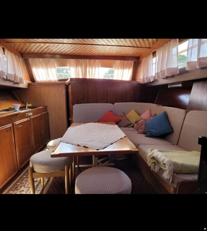 Cytra Ambassador 38