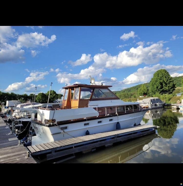 Cytra Ambassador 38