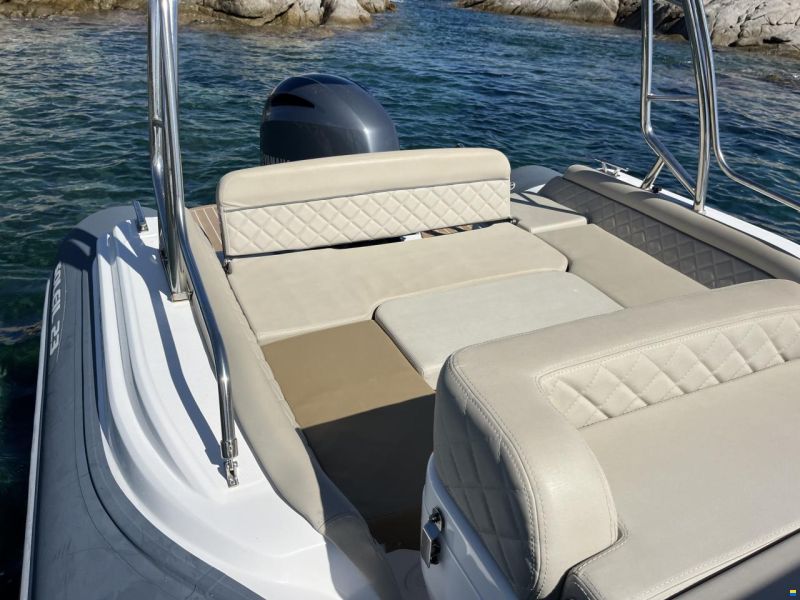 Salpa Soleil 23
