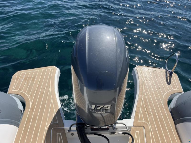 Salpa Soleil 23