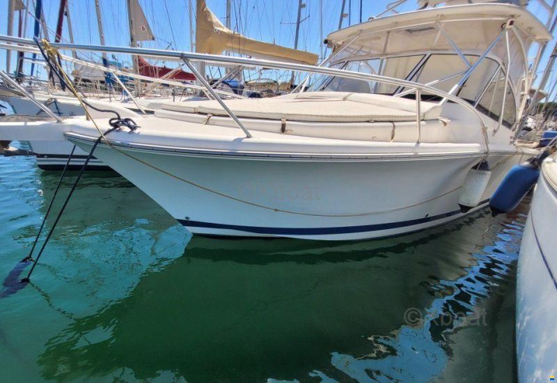Luhrs 28