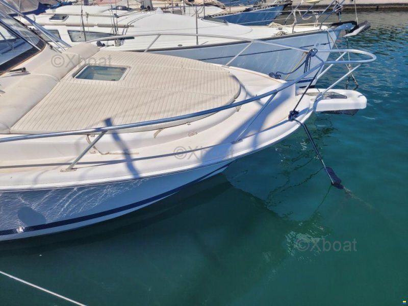 Luhrs 28