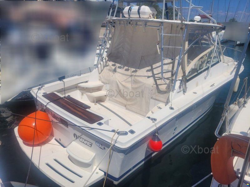 Luhrs 28