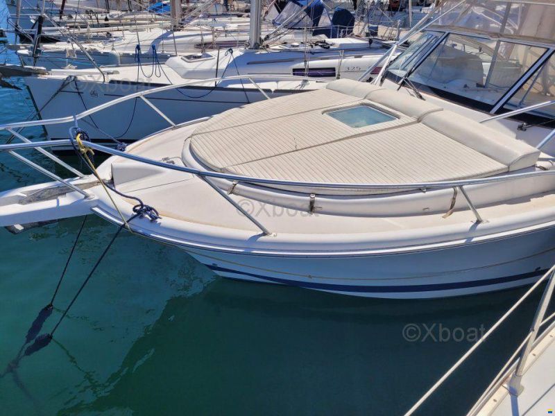 Luhrs 28