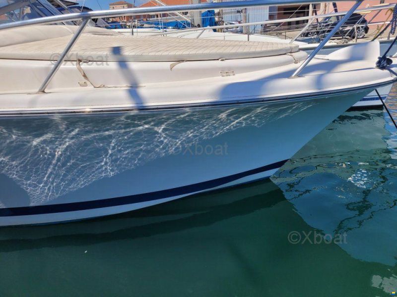 Luhrs 28