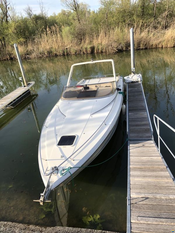 Cranchi Endurance 31