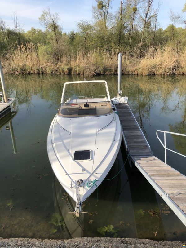 Cranchi Endurance 31