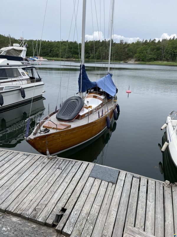 Havskryssare