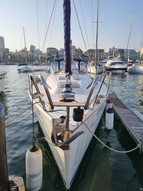 Bavaria 36