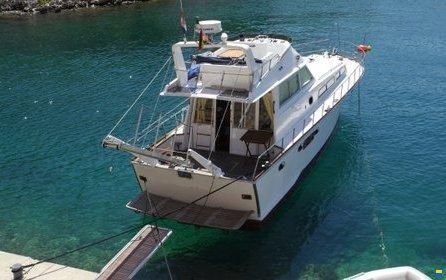 Piantoni 42