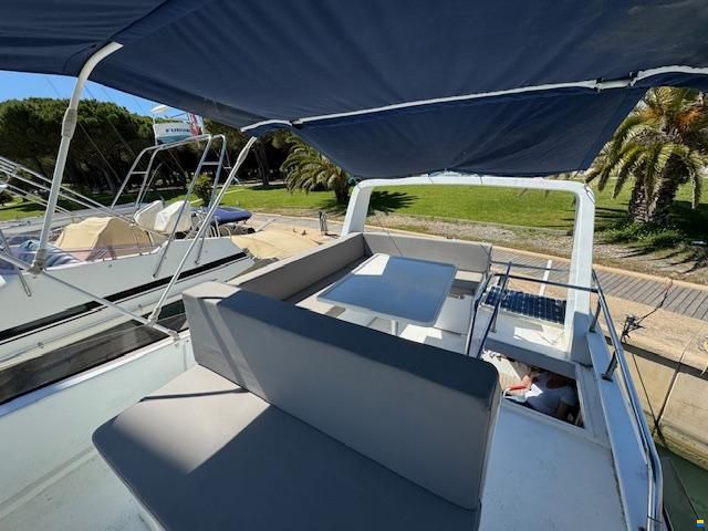 Piantoni 42