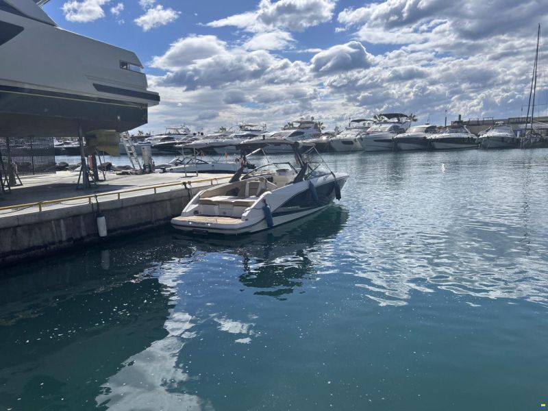 Scarab 255 Platinum