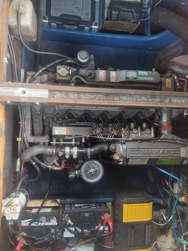 Coronet 24 Family