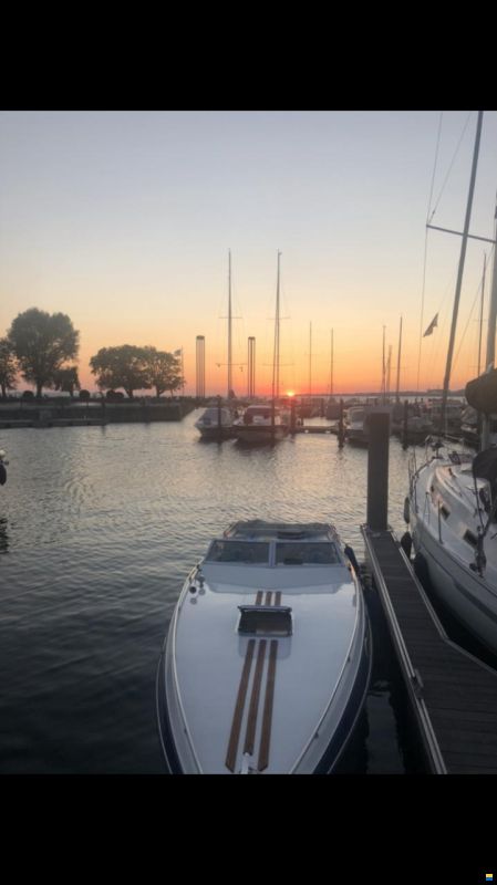 Schweizer Saphire 810