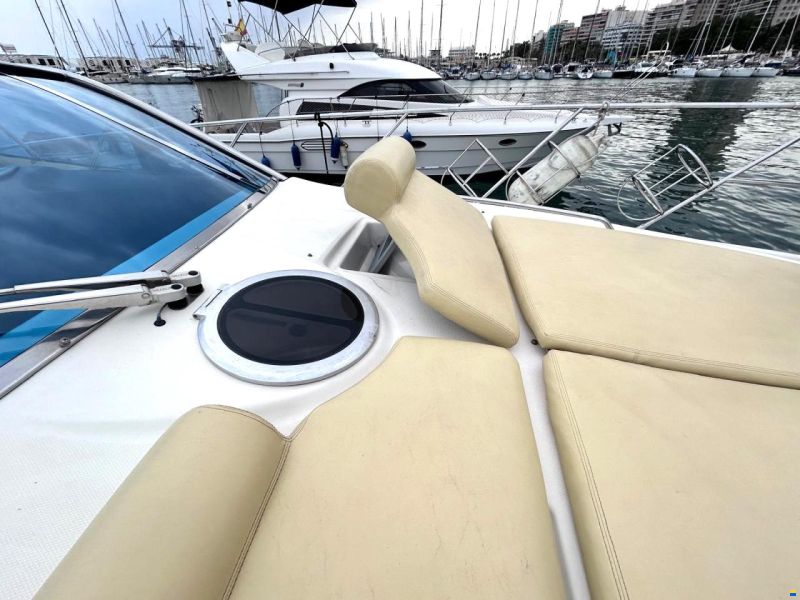 Cranchi Mediterranee 43