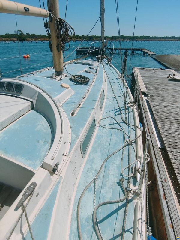 Westerly Conway 36