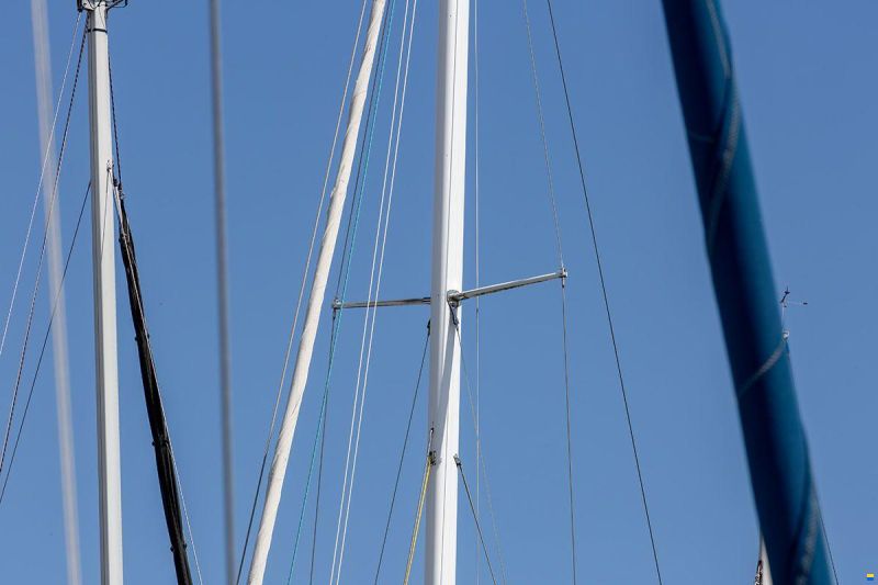 Trintella 42
