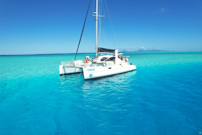 Catana 381 image