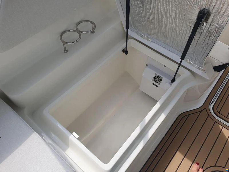 Sea Ray SPX 210
