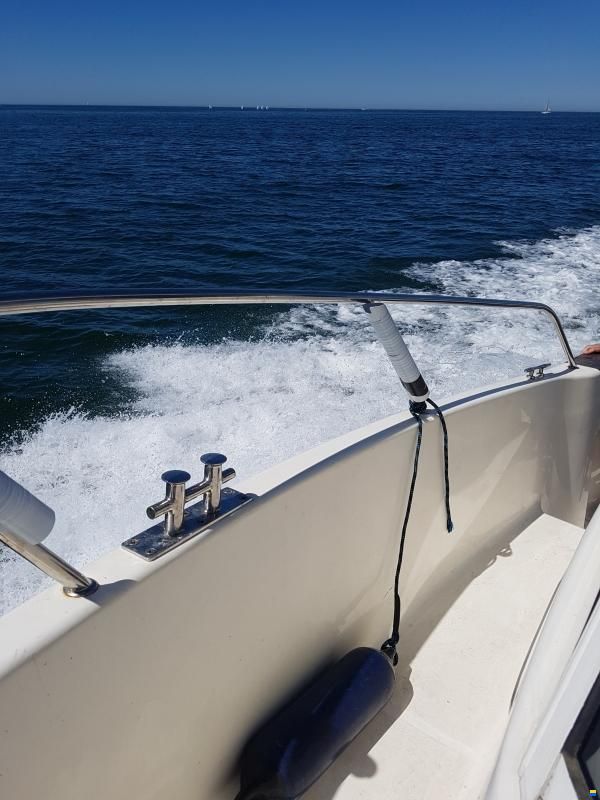 Arvor 250AS Deluxe