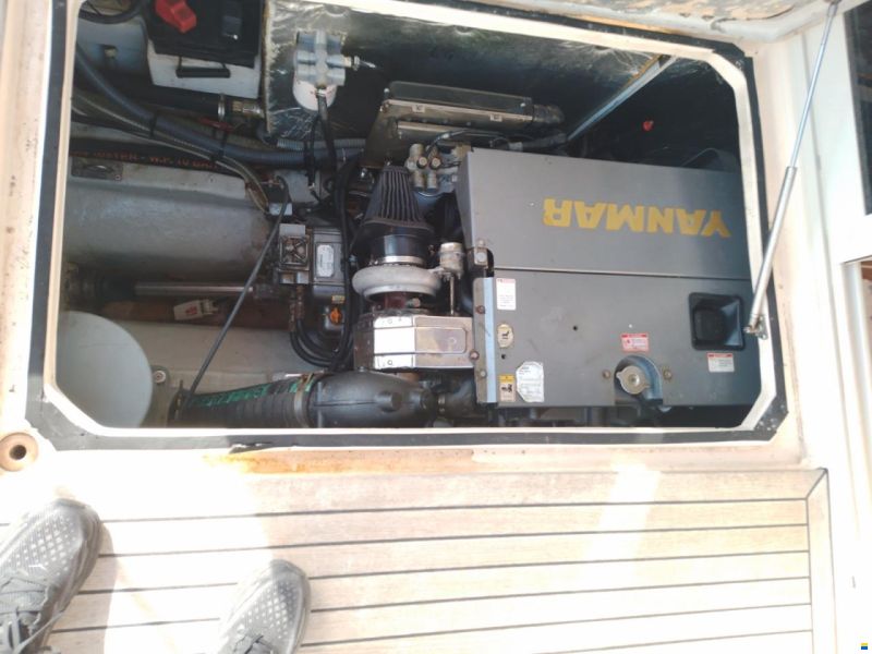 Damor Fjaka 800