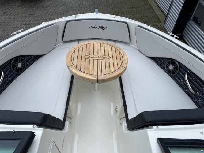 Sea Ray SPX 190
