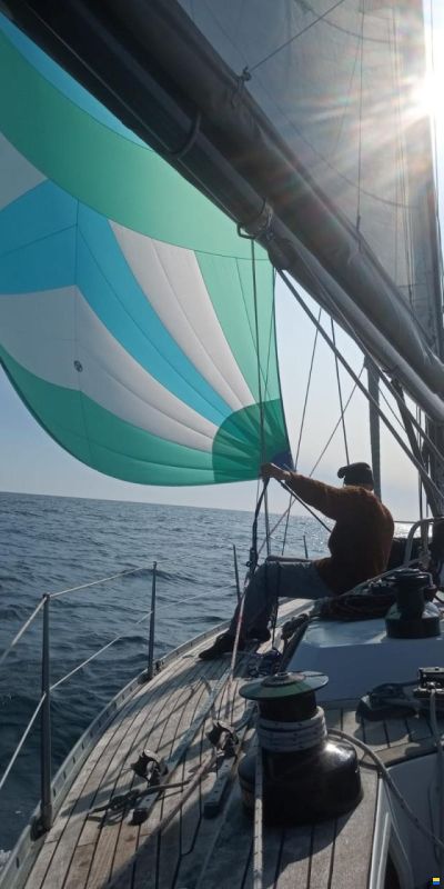 Baltic 38 DP