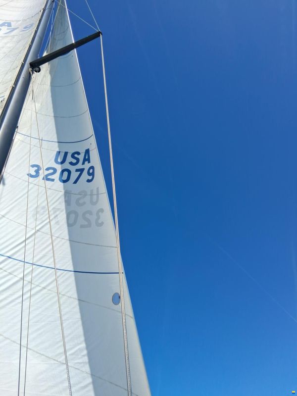 Baltic 38 DP