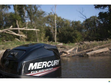 Mercury F 20 MH