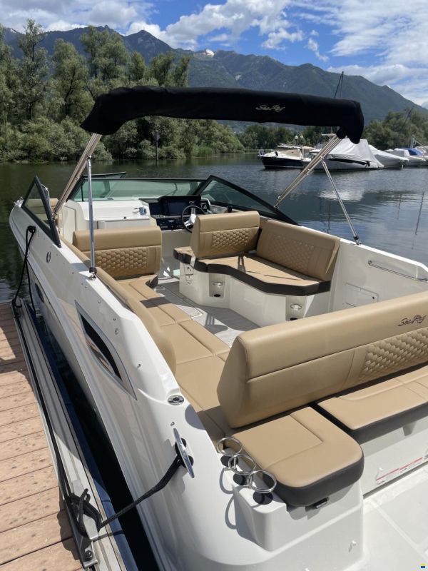 Sea Ray SDX 250