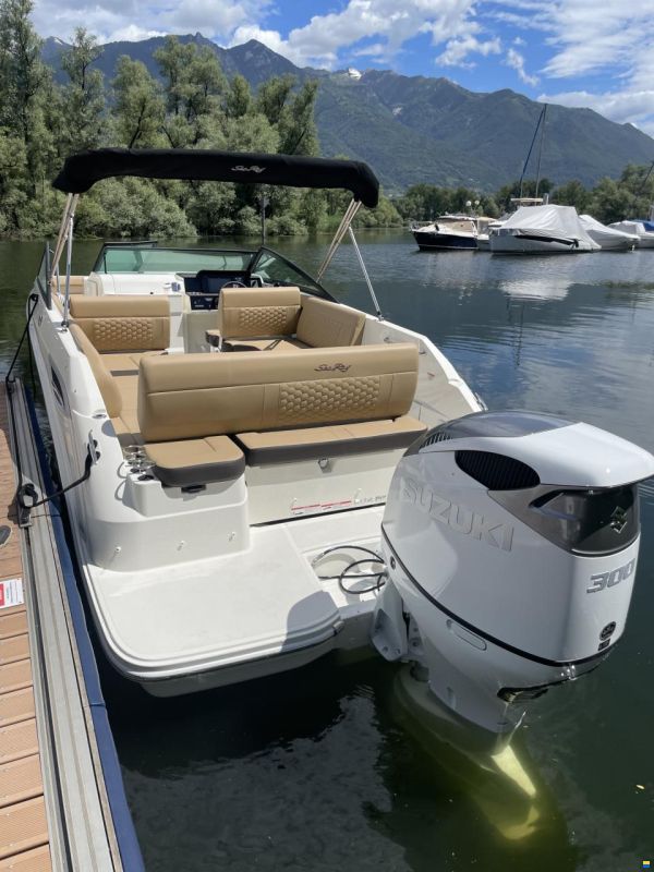Sea Ray SDX 250