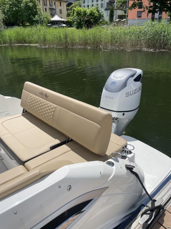 Sea Ray SDX 250