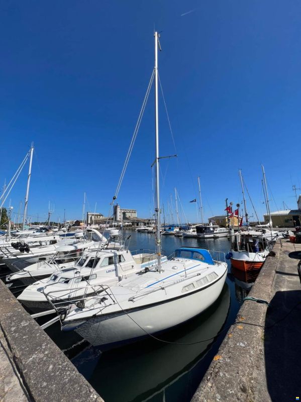 Sunwind 26