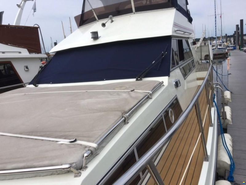 Neptunus 106 Flybridge