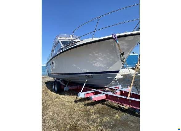Storebro Royal Cruiser 40 Biscaya