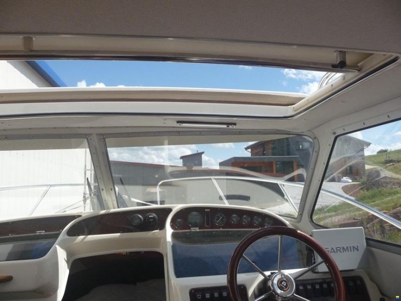Bella Falcon 26