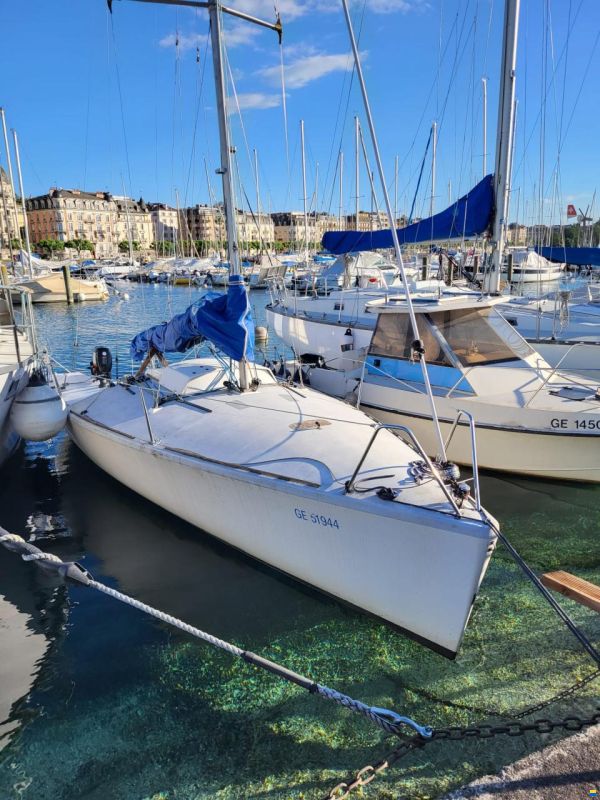 Dolphin 81 Dolphin 81