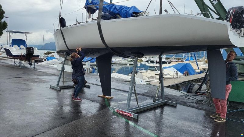 Dolphin 81 Dolphin 81