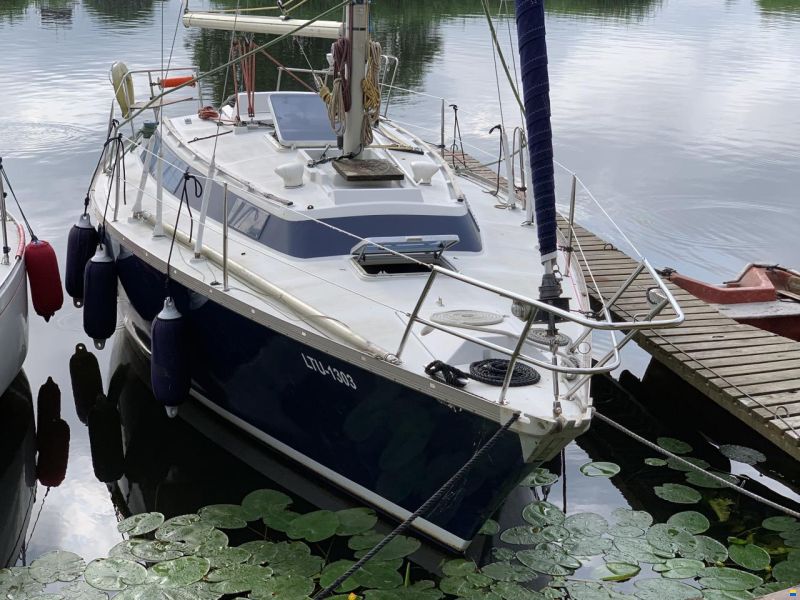 Dufour 31