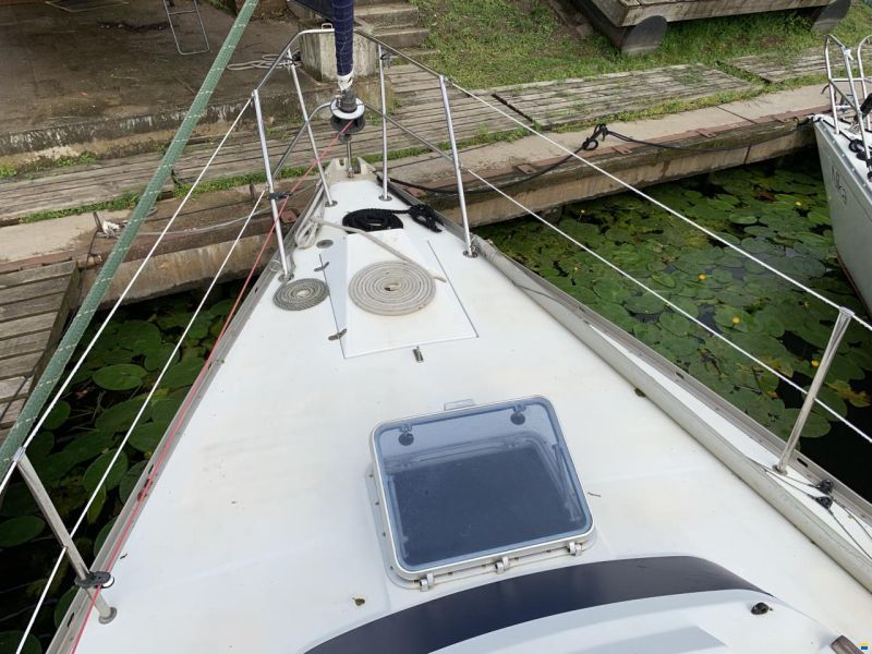 Dufour 31